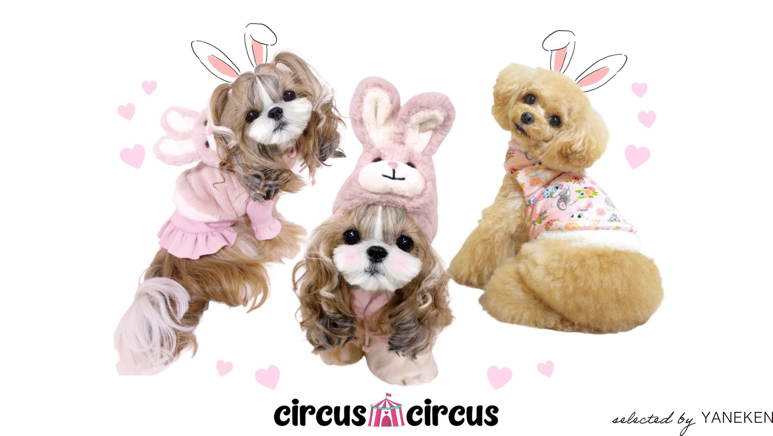 CIRCUS CIRCUS｜サーカスサーカス | おしゃれな犬服と愛犬の食事なら谷根千の谷根犬