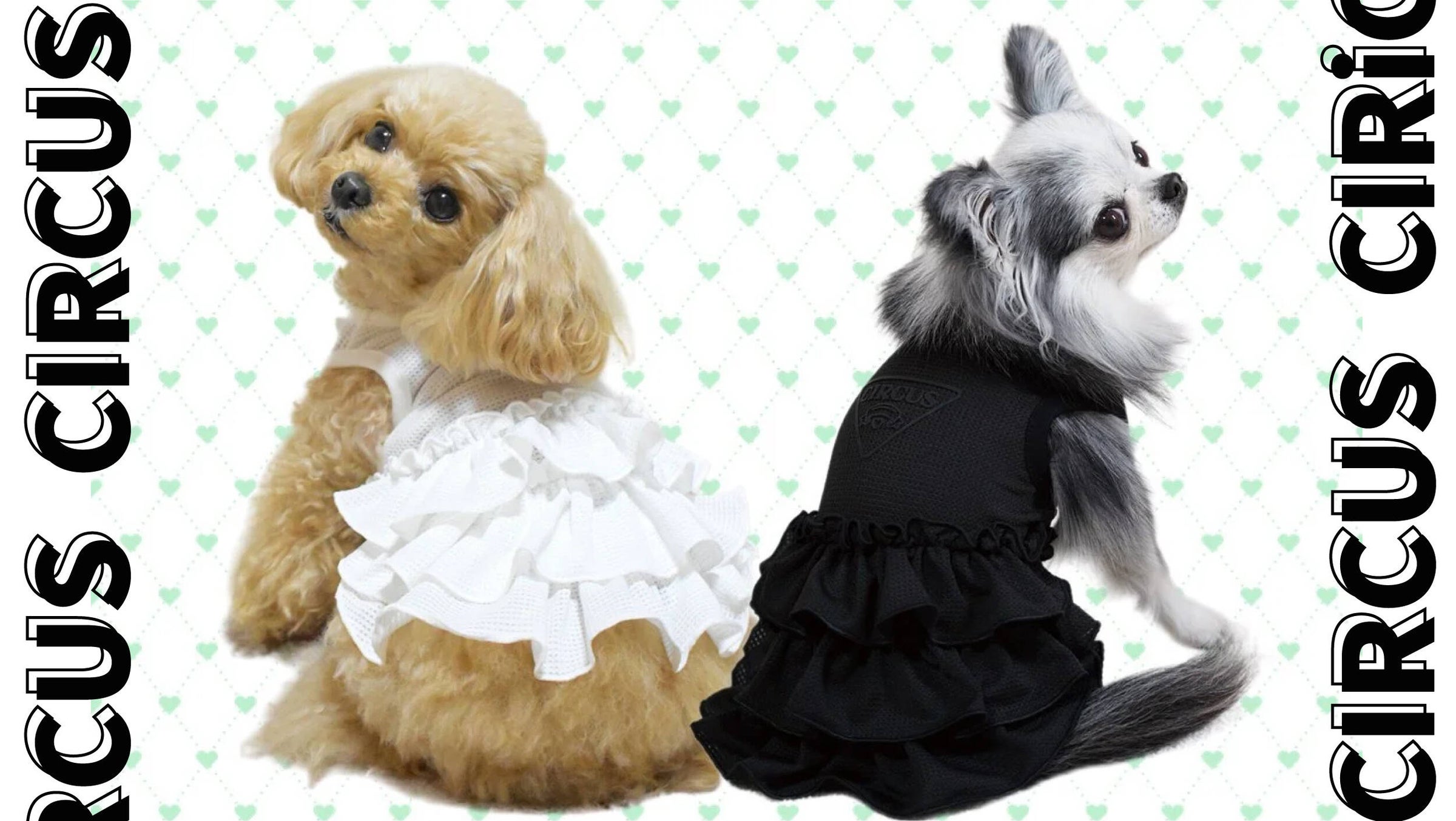 CIRCUS CIRCUS｜サーカスサーカス | おしゃれな犬服と愛犬の食事なら 